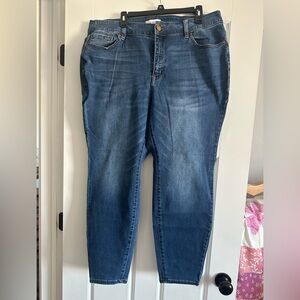 Women’s plus size 3X pull on Denim Jeggings.